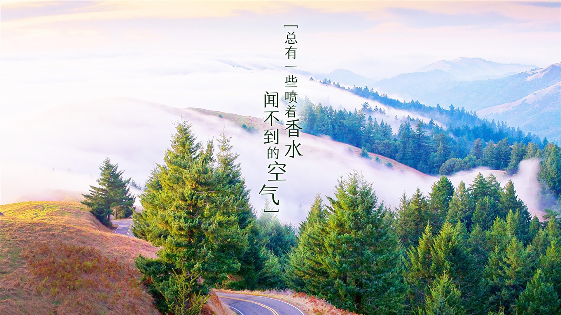 爱游戏官方-RNG季后赛席位稳固，rng 季后赛