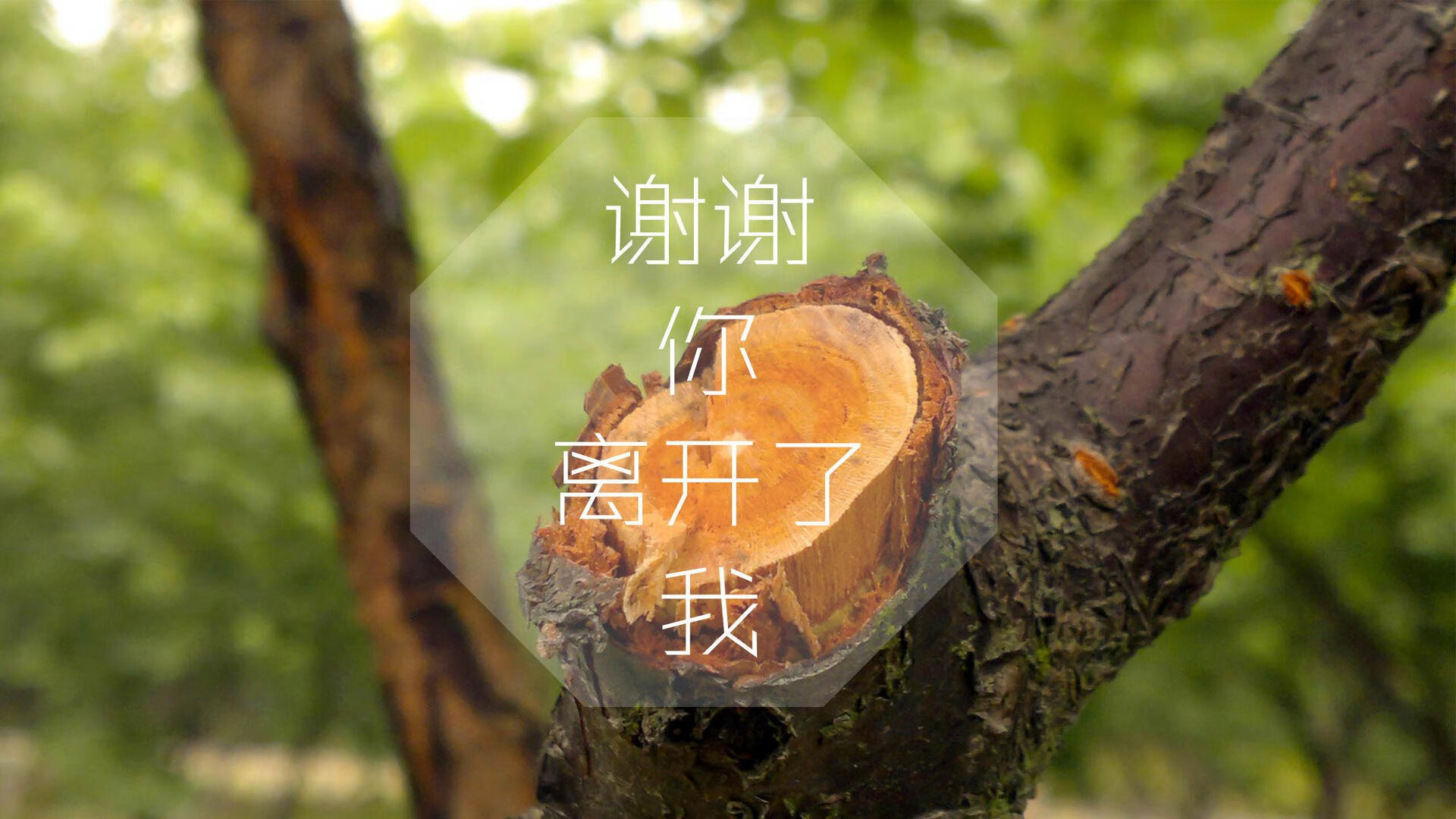 爱游戏官网-弗拉门戈体能储备充足，弗拉门戈的影响