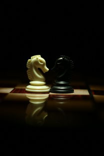 AYX GAMING-国际象棋大师赛中国小将力克群雄,国际象棋大师赛视频