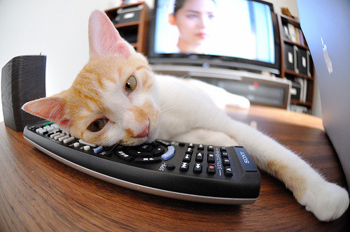 爱游戏综合娱乐-体育新闻中心推动数字技术在传统项目中的应用,体育数字化改革